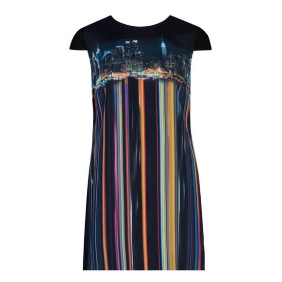 Ted Baker London Nula Skyline Dress Size 0 - Picture 2 of 5